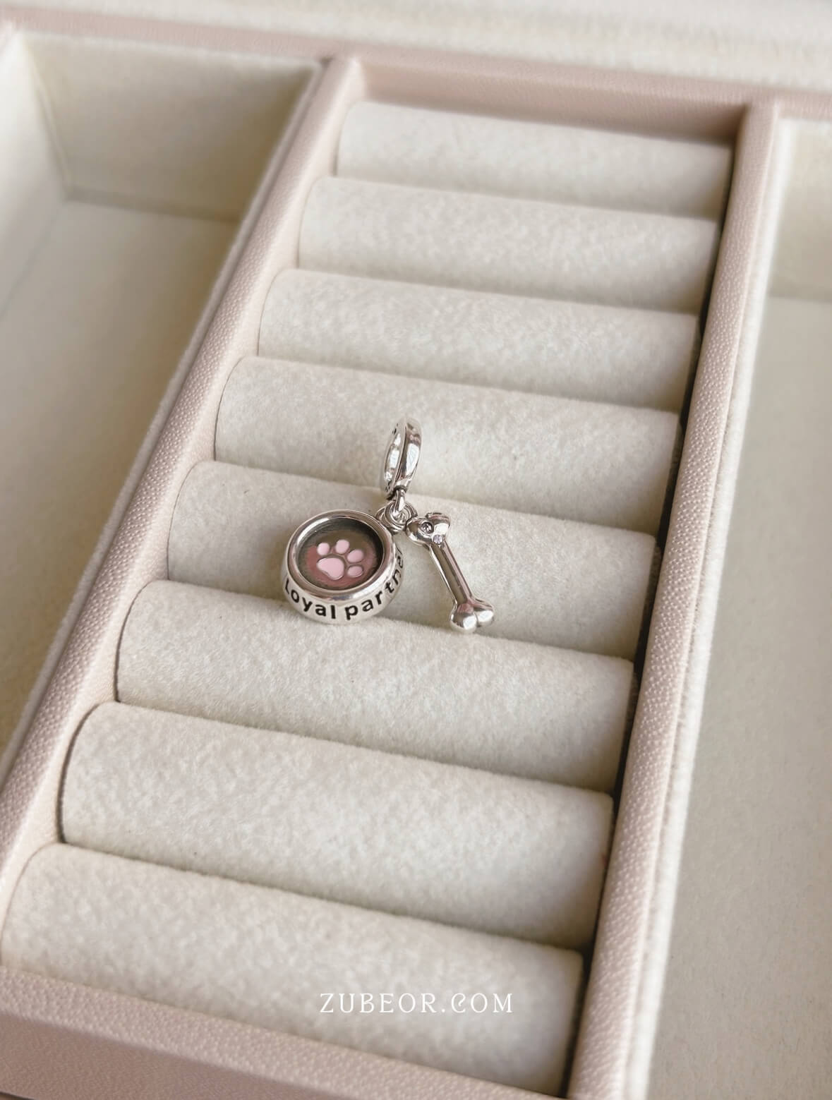 Charm plato de perrito 4