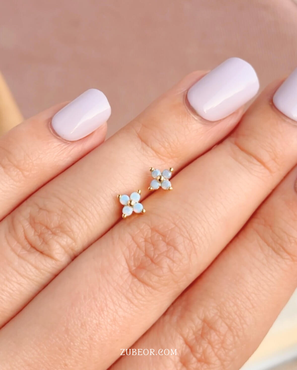 Set completo hortensia azul